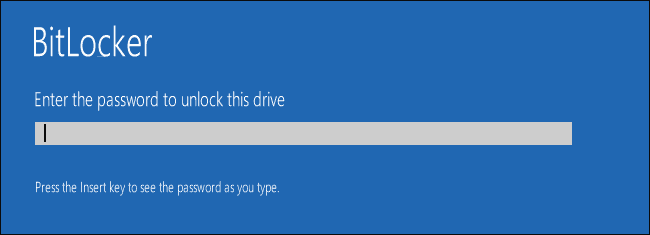 Screenshot of password screen for BitLocker